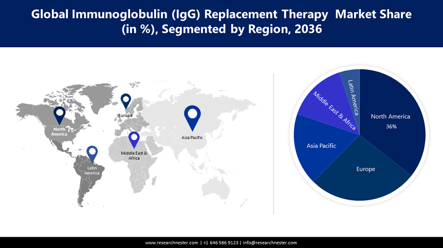 Immunoglobulin Replacement Therapy Market Size